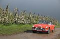 MG Bloesemrit op 24-4-2016 org. Jos&Marie-lou  (296)